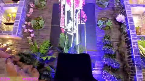 EVA COLUCCY online show from 03.10.25