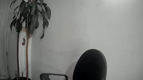 evacollins12 online show from 12.09.24