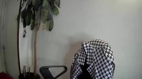 evacollins12 online show from 01.07.25