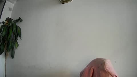 evacollins12 online show from 02.15.25
