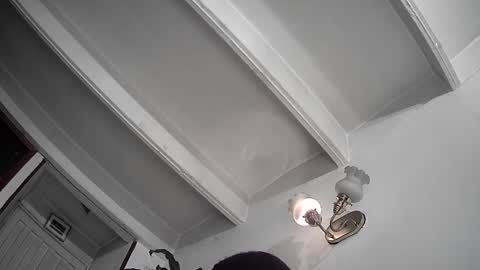 evacollins12 online show from 02.25.25