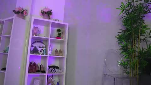 evewilder online show from 03.02.26