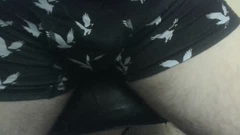 evolite_ online show from 12.27.24