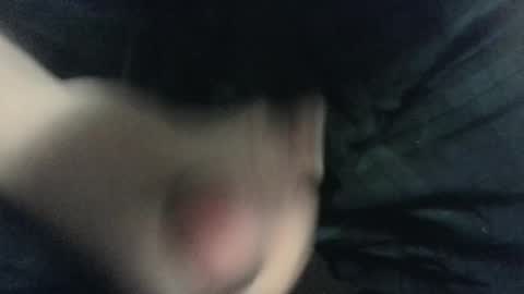 evolite_ online show from 02.14.25