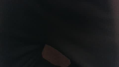 evolite_ online show from 02.17.25