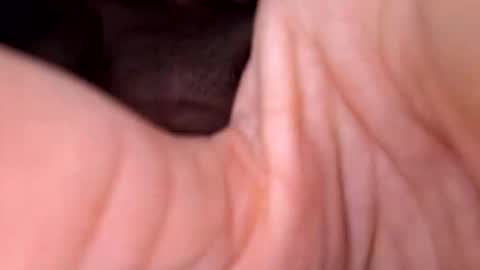 Exhibboytoy3 online show from 03.24.26