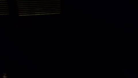 exhibitman69_ldb online show from 10.30.25