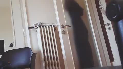 EZCODA online show from 01.07.25