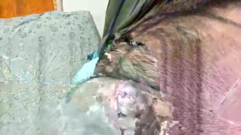 ezzz_au20 online show from 11.02.25