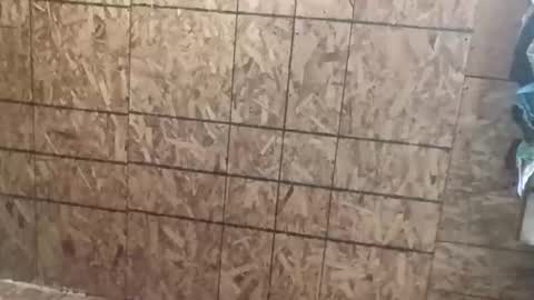 farrisshane1985 online show from 04.07.26