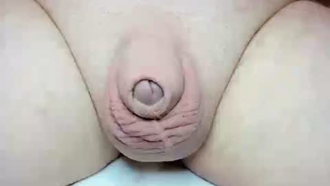 Fatmanscock online show from 10.26.25