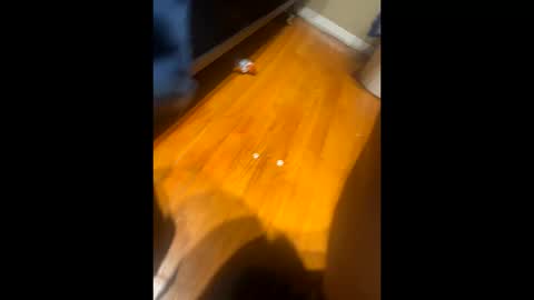 fatz71056 online show from 10.16.25