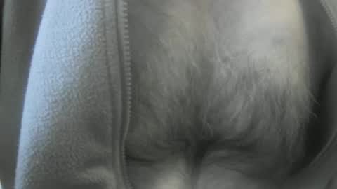 feardubh online show from 01.19.25