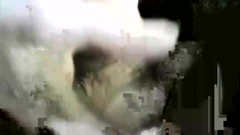 Snapshot of felicaste chatting on 12.02.25 felicaste online show from 12.02.25