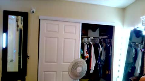 Allie North online show from 12.11.24