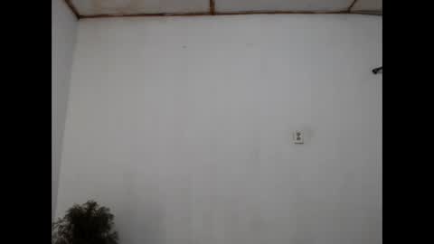 fernandez_latinblack online show from 12.31.24