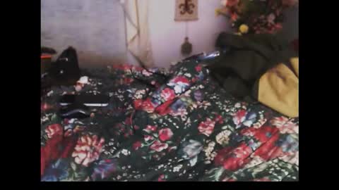 ferra_testarossa online show from 03.13.26