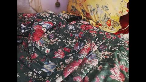 ferra_testarossa online show from 04.09.26