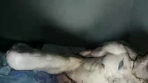 Snapshot of fetishsearch1abdl chatting on 02.27.25 fetishsearch1abdl online show from 02.27.25