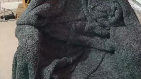 ffys2025 online show from 02.13.26