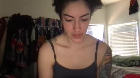 fgsammie online show from 04.04.26