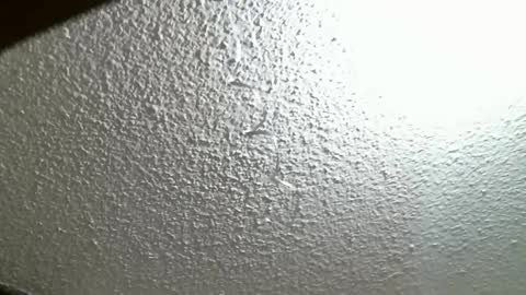 FIERYWOMAN online show from 10.07.25