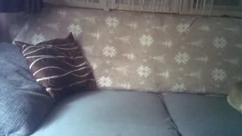 Jane and Findo online show from 01.06.25