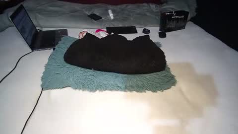 Rania online show from 11.10.25