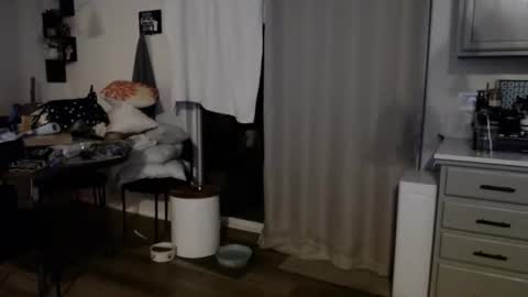 fishcatcherj online show from 06.06.26