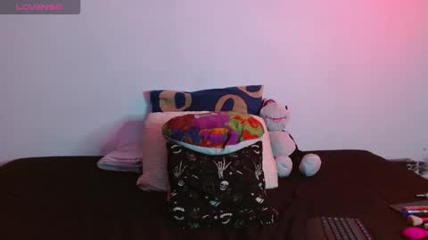 nova online show from 11.13.25