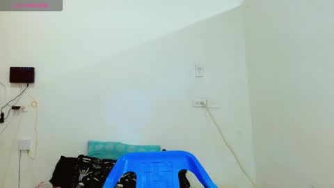 nova online show from 01.31.26