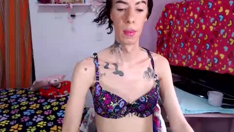 Snapshot of flacats23cm chatting on 05.29.26 flats23cm online show from 05.29.26