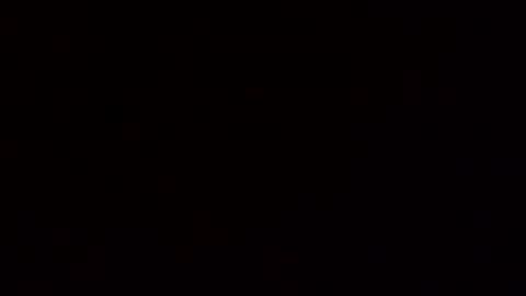 floridaman320 online show from 11.11.25