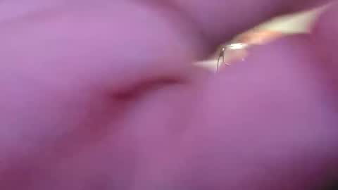 focusfuker online show from 11.14.25