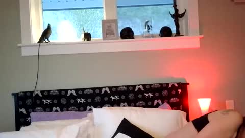 forbiddenwifey online show from 04.08.26