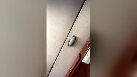 fordfocusz online show from 03.16.26