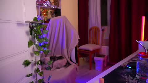 Senya  subscribe to telegram channel  online show from 12.02.25