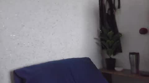 fox_red_lady7 online show from 03.07.25