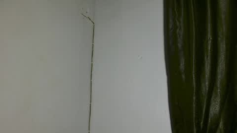 luna online show from 04.03.26