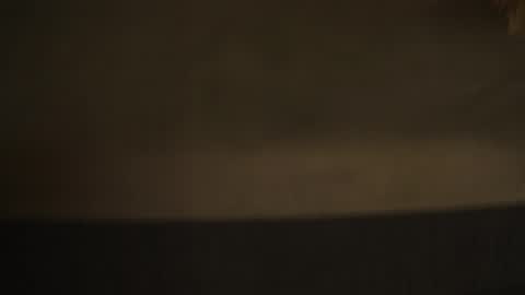 Snapshot of freckle_diyana chatting on 10.04.25 Diyana online show from 10.04.25