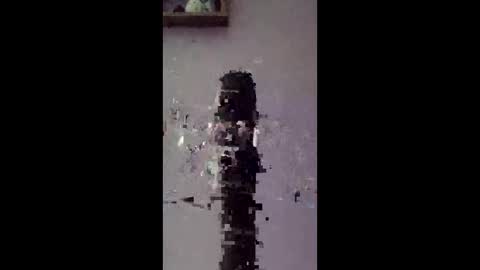 freelingling online show from 01.14.26