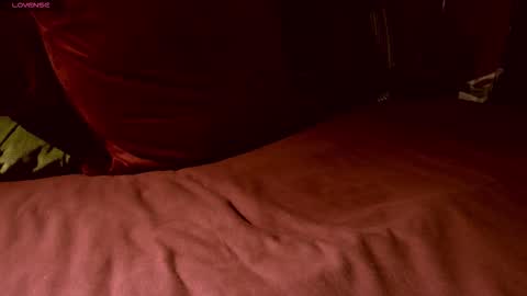 Snapshot of freemy_cebwam chatting on 11.01.25 Duckmysick online show from 11.01.25