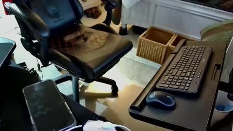 freespirt2 online show from 11.01.25