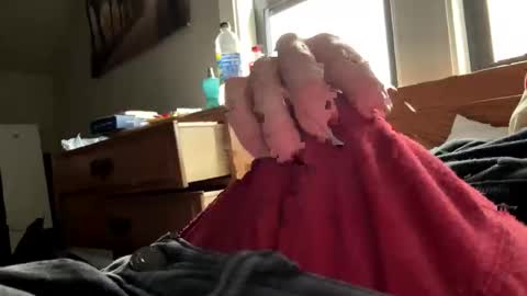 freezeskiii online show from 11.18.25