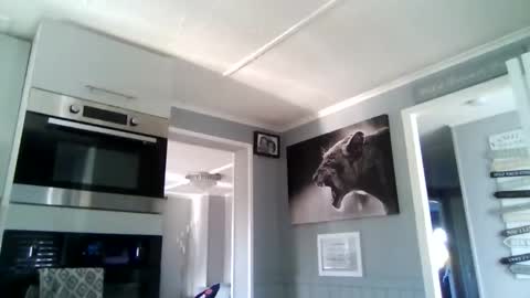 bob online show from 12.02.25