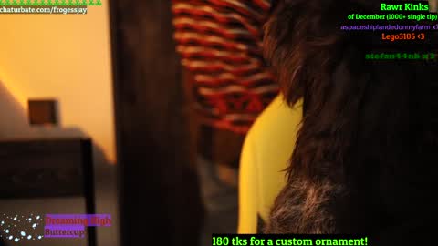 Snapshot of frogessjay chatting on 12.26.24   Jaywise Frogfoot  online show from 12.26.24