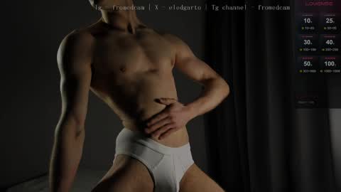 ED online show from 04.05.26