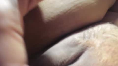 FrumCake online show from 12.06.24