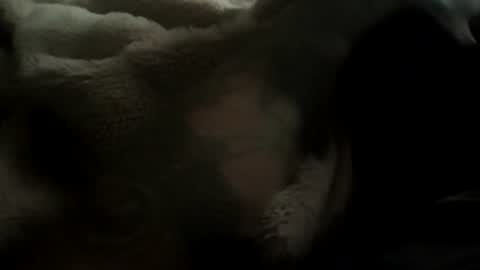 fstrtd666 online show from 07.07.26
