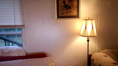 Snapshot of fuckmypussyplz1 chatting on 10.20.25 fuckmypussyplz1 online show from 10.20.25